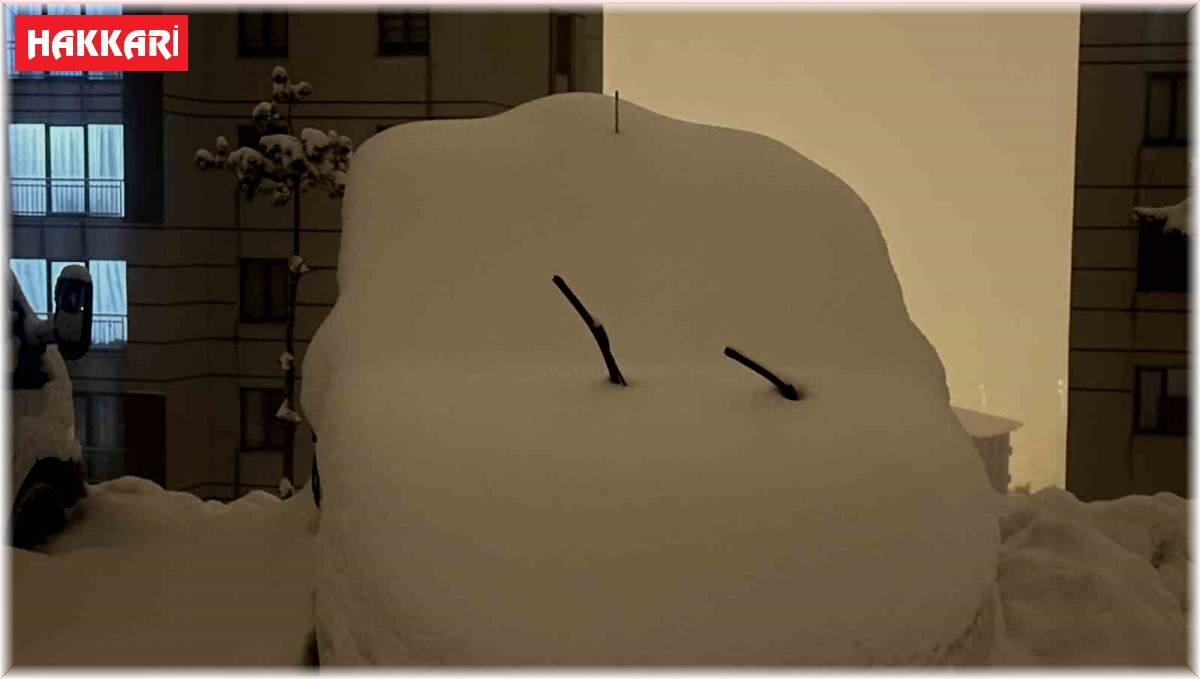 Yüksekova'da kar kalınlığı 40 santimetreyi buldu, araçlar kara gömüldü