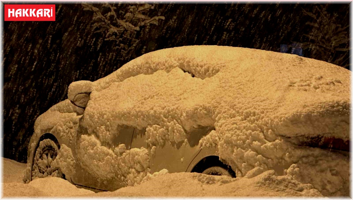 Yüksekova'da kar sevinci: Çocuklar karı eğlenceye çevirirken, gençler halay çekti