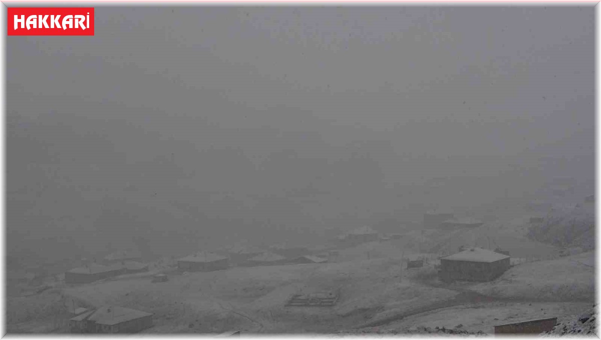 Yüksekova'da kar yağışı ve yoğun sis