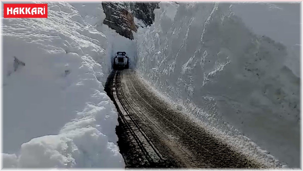 Yüksekova'da kardan 8 metrelik tüneller açıldı