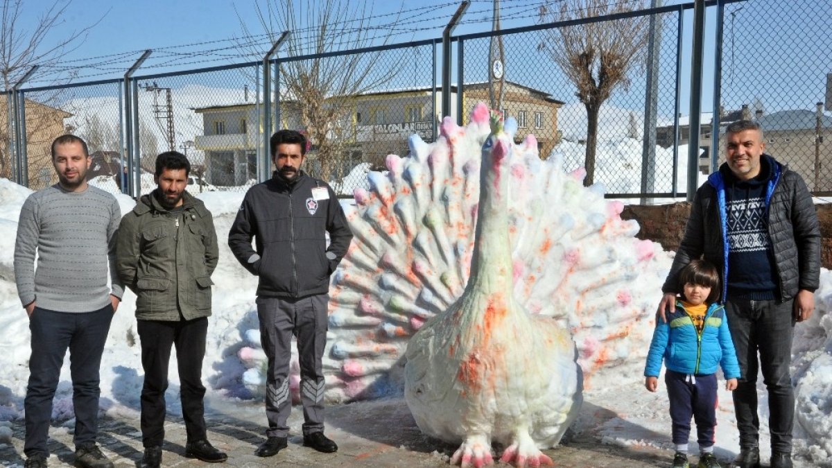 Yüksekova'da kardan 'tavus kuşu' yaptılar