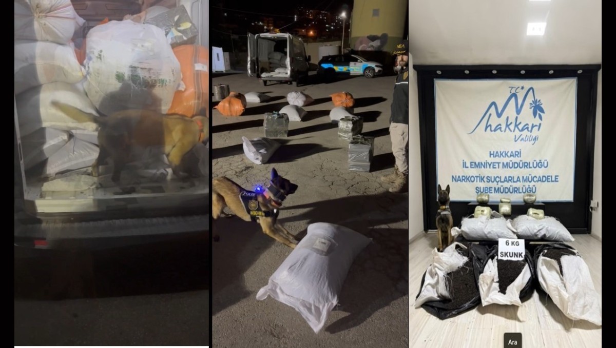 Yüksekova'da kargo aracında 6 kilo skunk ele geçirildi