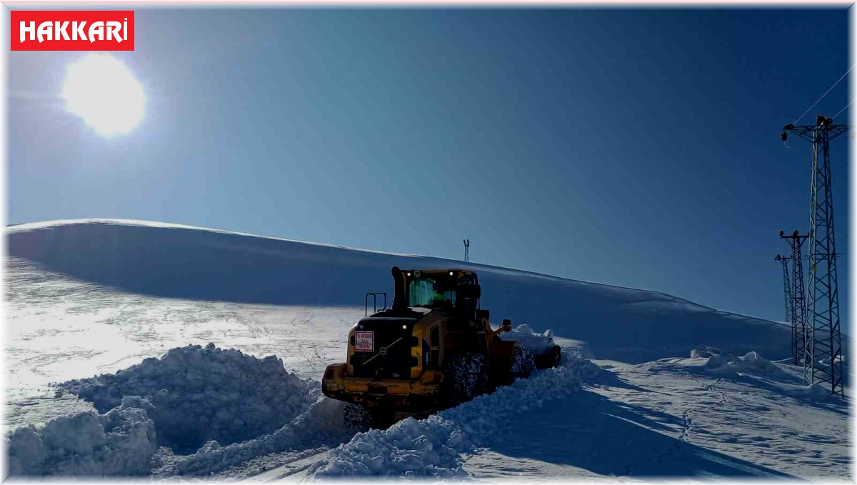 Yüksekova'da karla mücadele çalışması devam ediyor