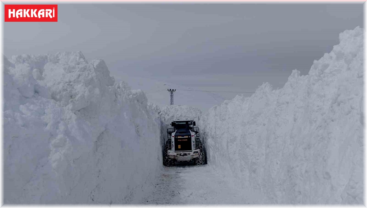 Yüksekova'da karla mücadele çalışması devam ediyor
