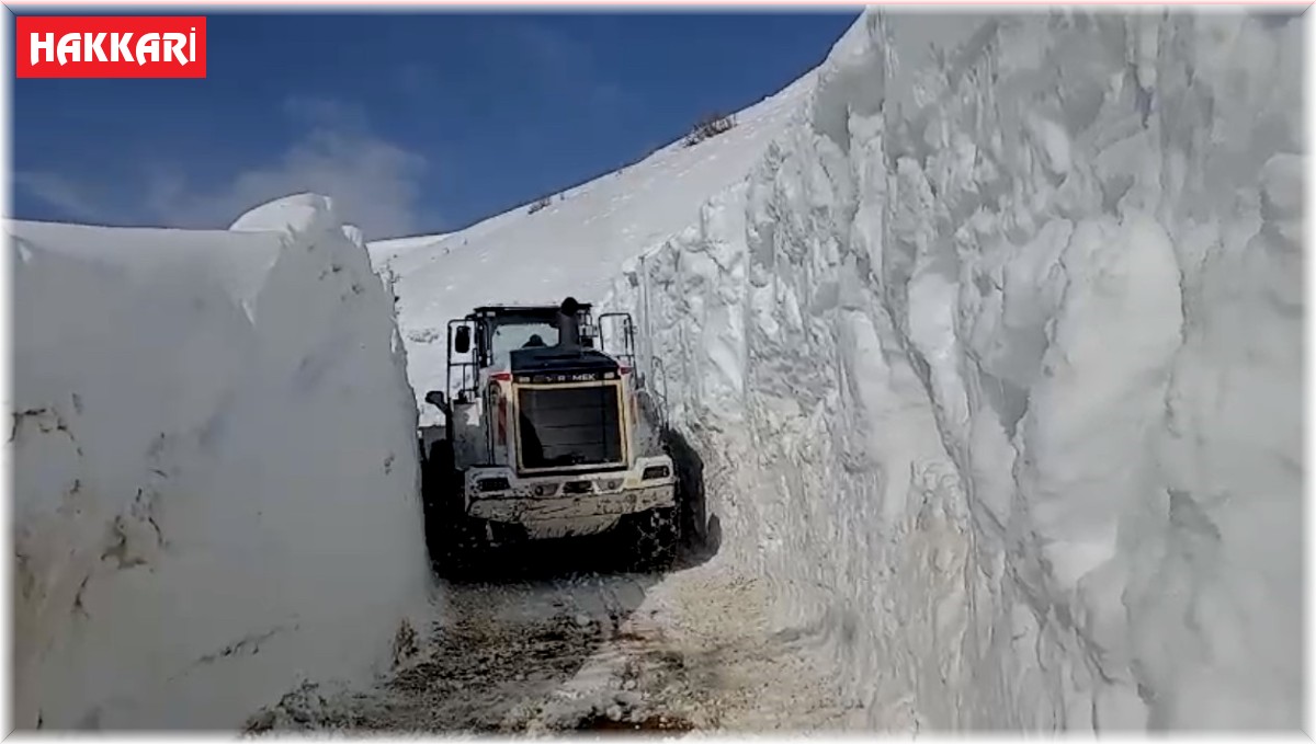 Yüksekova'da karla mücadele devam ediyor