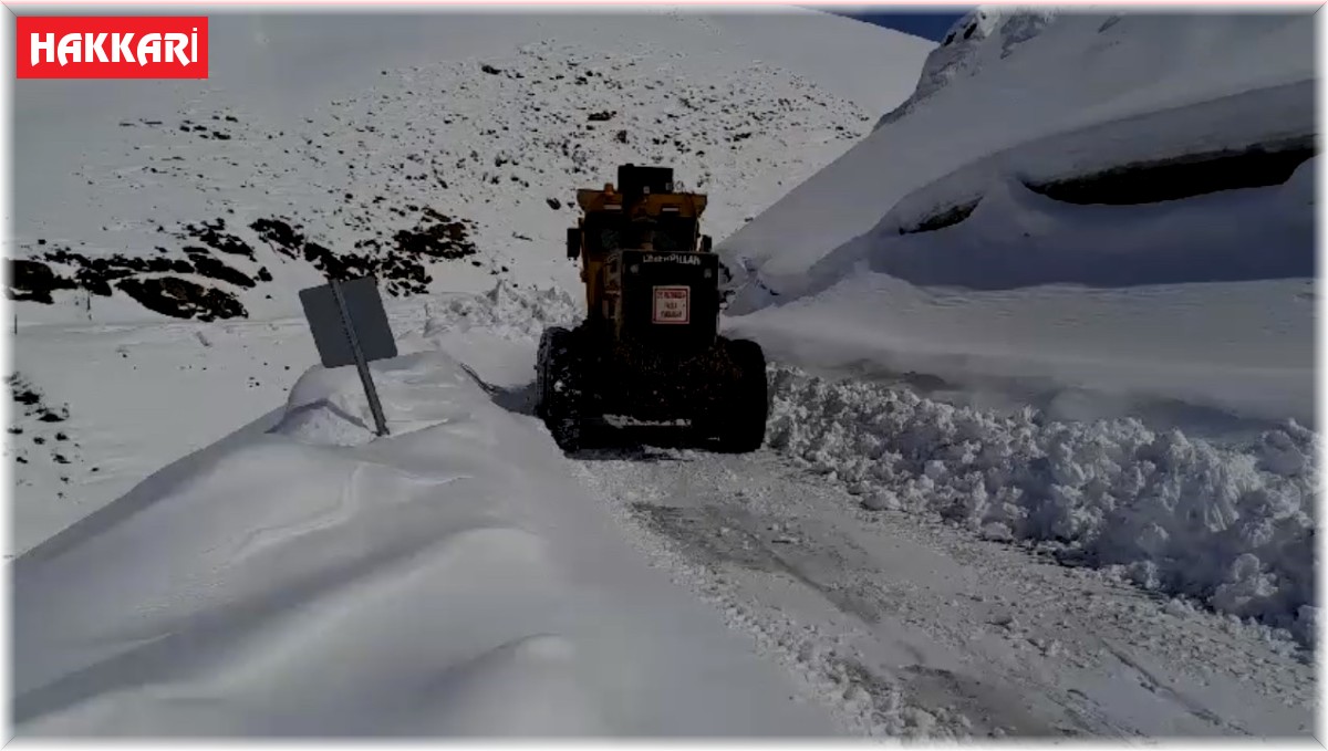 Yüksekova'da karla mücadele sürüyor