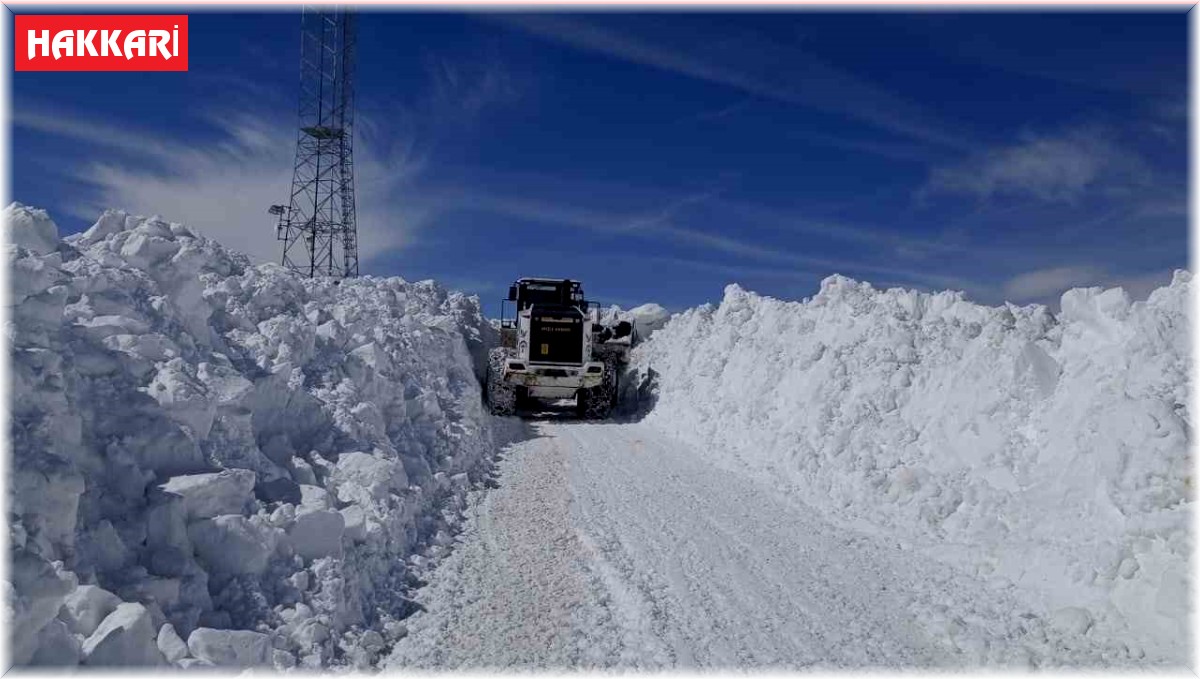Yüksekova'da karla mücadele sürüyor