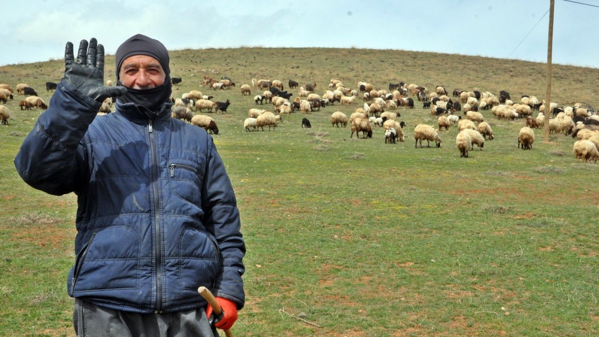 Yüksekova'da karların erimesiyle koyunlar meralara çıkmaya başladı