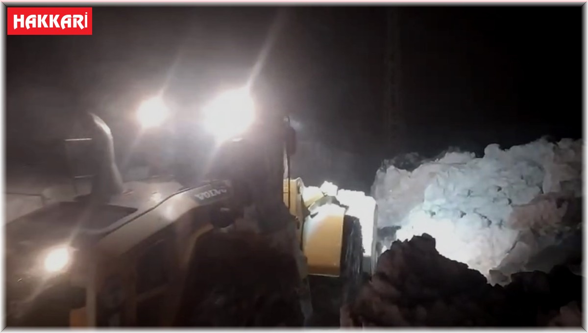 Yüksekova'da kepçe boyunu aşan karda yol açma çalışması