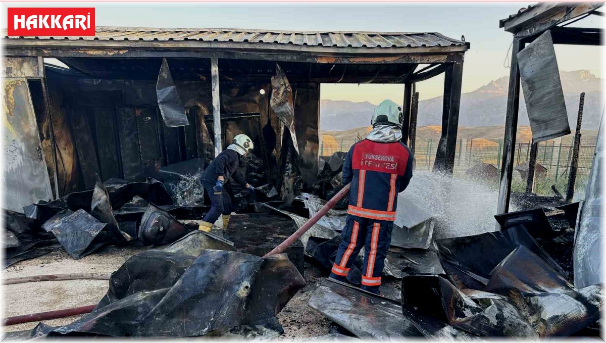 Yüksekova'da köpek barınağında çıkan yangın korkuttu
