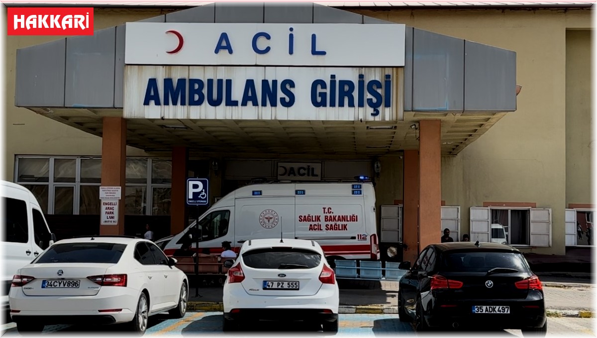 Yüksekova'da korkunç olay: Silahla vurulmuş halde 2 ceset bulundu