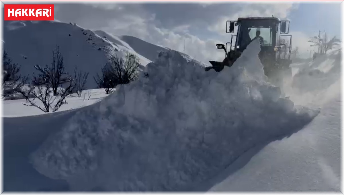 Yüksekova'da köy ve mezra yolları bir bir açılıyor