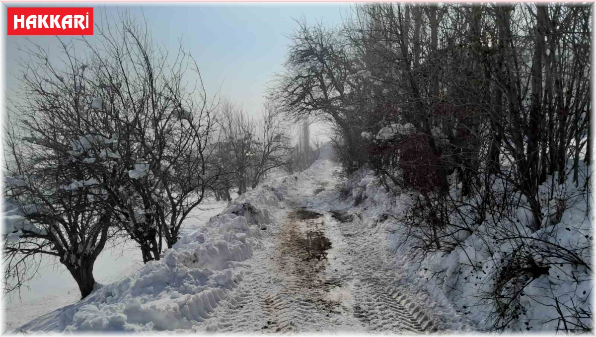 Yüksekova'da köy yollarında kar temizleme çalışmaları sürüyor