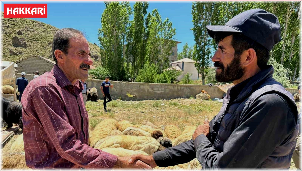 Yüksekova'da kurbanlık satışları devam ediyor