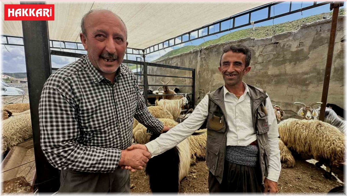 Yüksekova'da kurbanlıklar görücüye çıktı