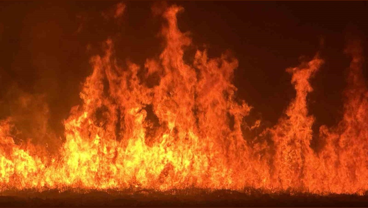 Yüksekova'da kuş cenneti Nehil Sazlığı'ndaki yangın yerleşim yerlerini tehdit ediyor