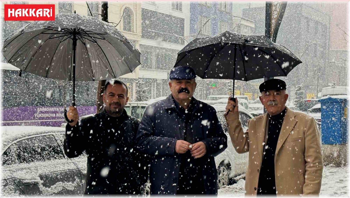 Yüksekova'da lapa lapa kar yağışı