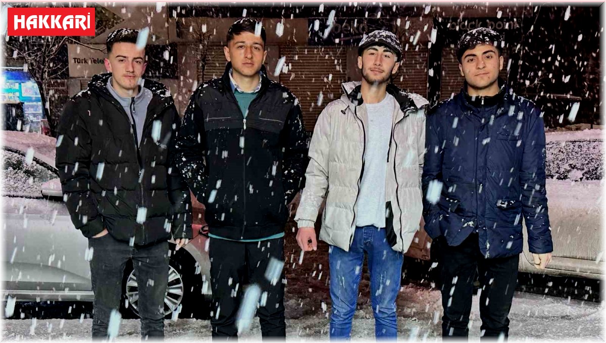 Yüksekova'da lapa lapa kar yağışı