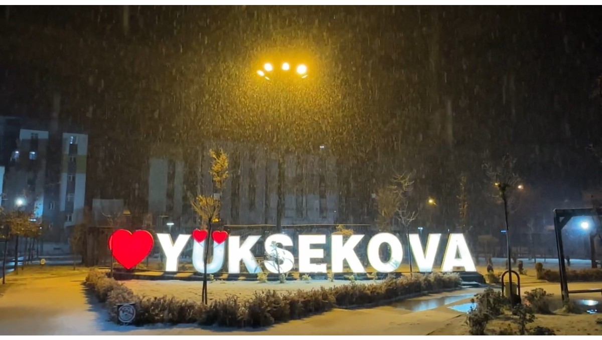 Yüksekova'da lapa lapa kar yağışı