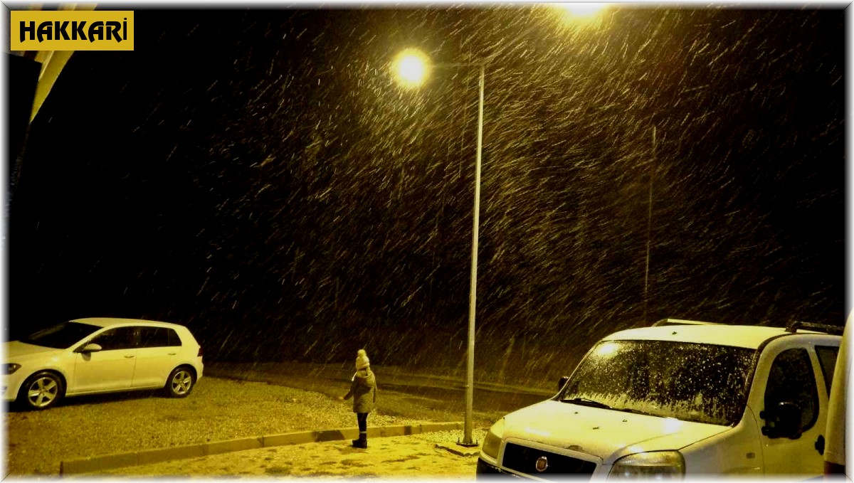Yüksekova'da lapa lapa kar yağışı