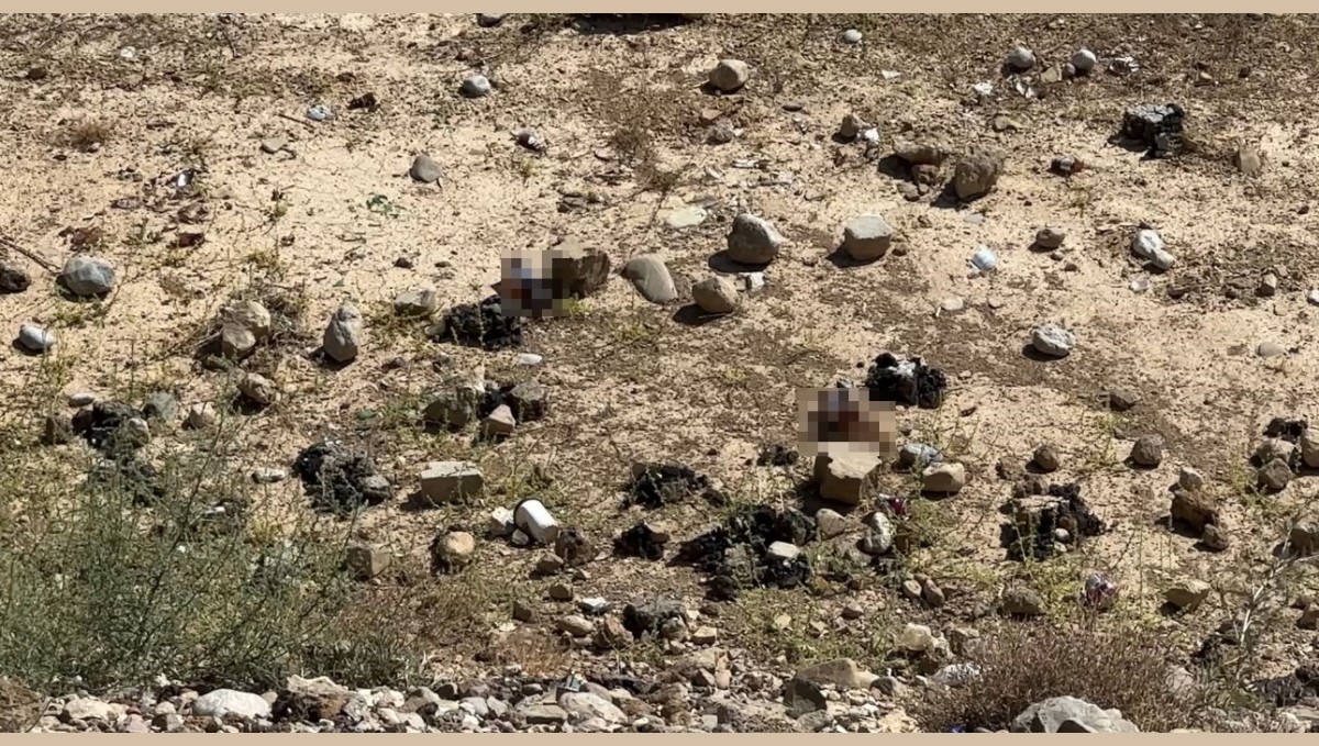 Yüksekova'da mezarlık yanına bırakılan bira şişeleri tepki topladı