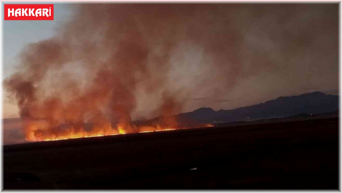 Yüksekova'da Nehil Sazlığı alev alev yanıyor