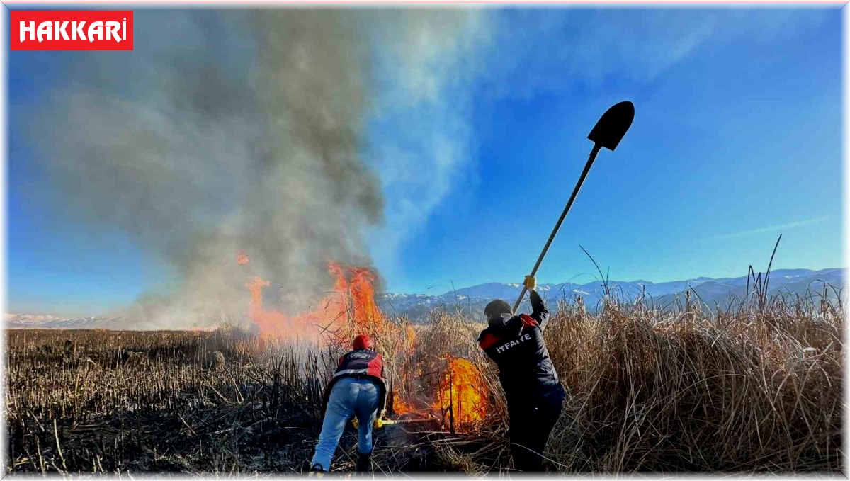 Yüksekova'da Nehil Sazlığı'nda yangın