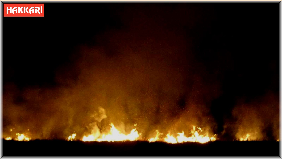 Yüksekova'da Nehil Sazlığı tekrar alev aldı