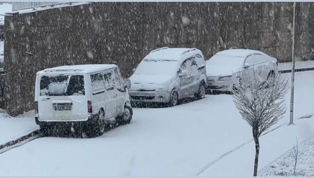 Yüksekova'da nisan ayında lapa lapa kar yağışı