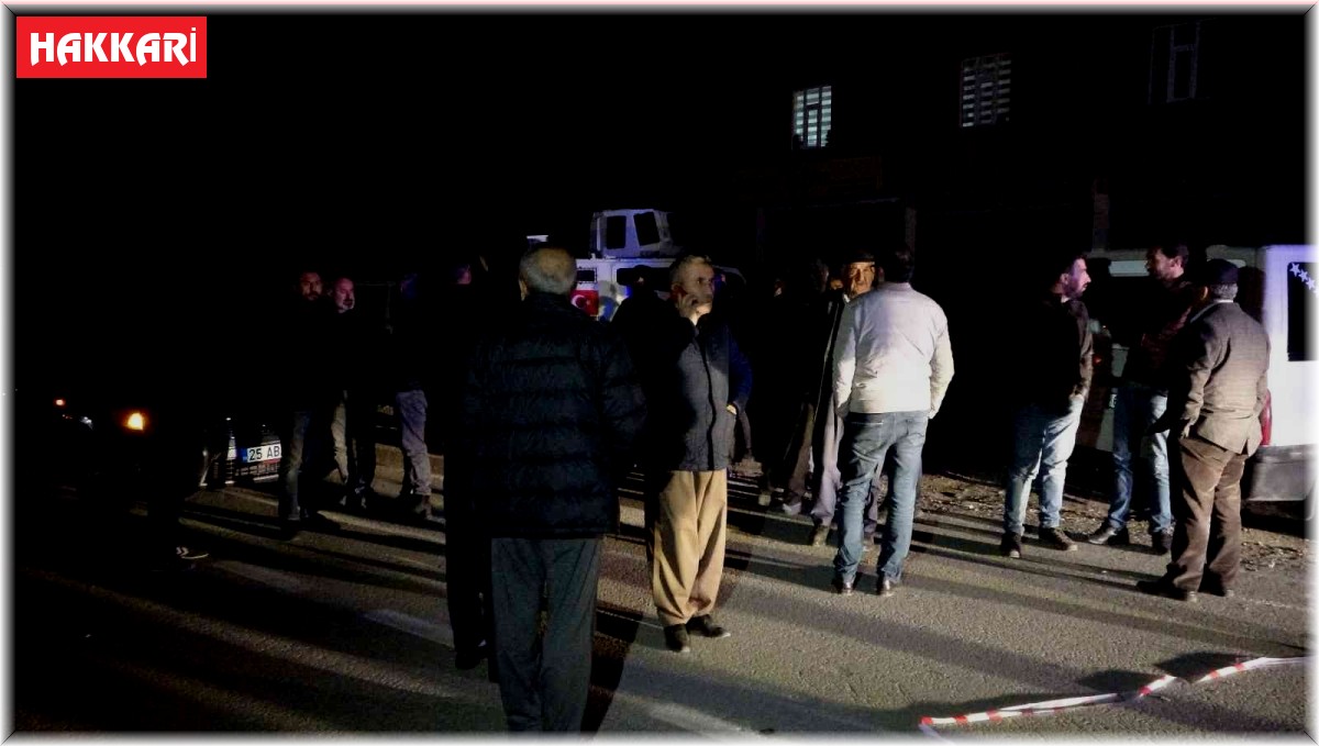 Yüksekova'da peş peşe iki aracın çarptığı şahıs hayatını kaybetti