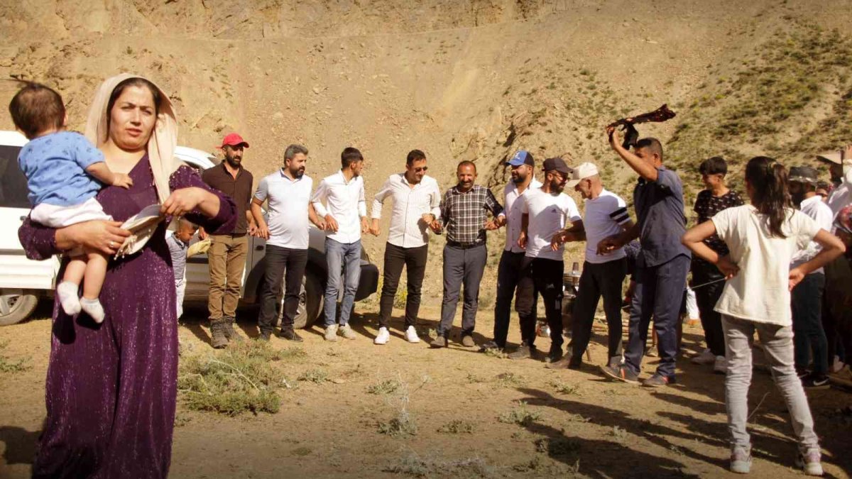 Yüksekova'da renkli koyun kırkma şenliği