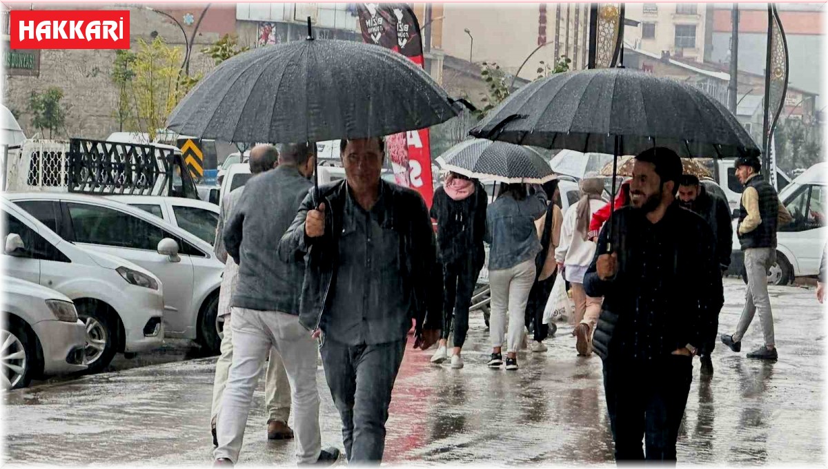 Yüksekova'da sağanak yağış etkili oldu