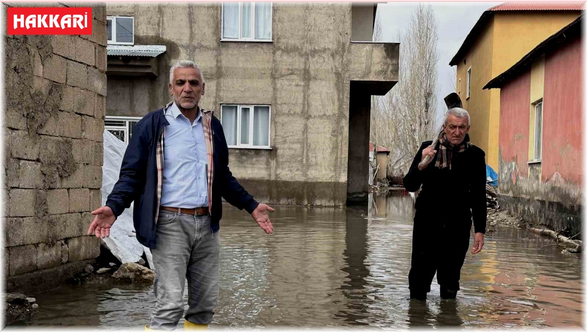 Yüksekova'da sağanak yağışta evler sular altında kaldı