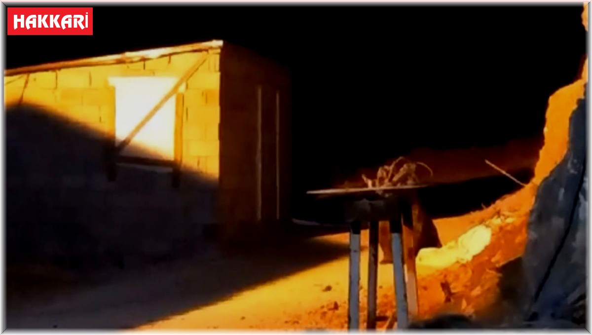 Yüksekova'da şantiyede yiyecek arayan 4 ayı kameralara yansıdı