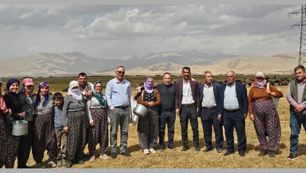 Yüksekova'da şap hastalığı kontrol altına alındı