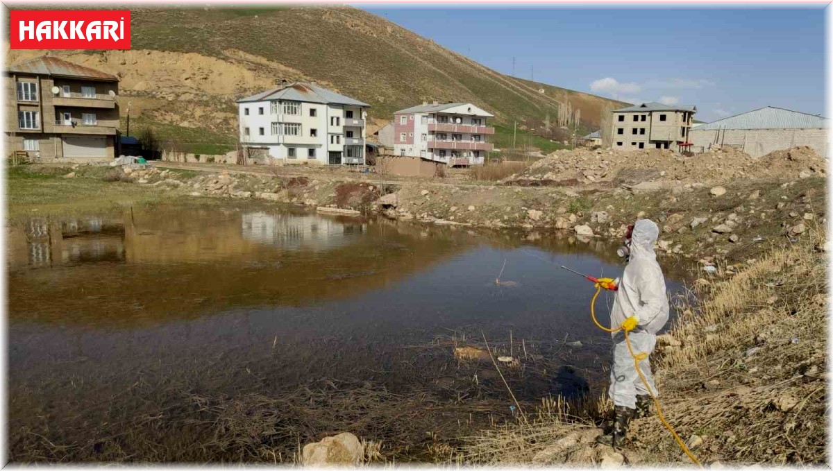 Yüksekova'da sinek ve haşerelere karşı ilaçlama çalışması