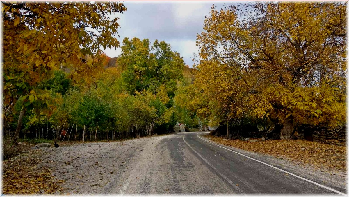 Yüksekova'da sonbahar güzelliği