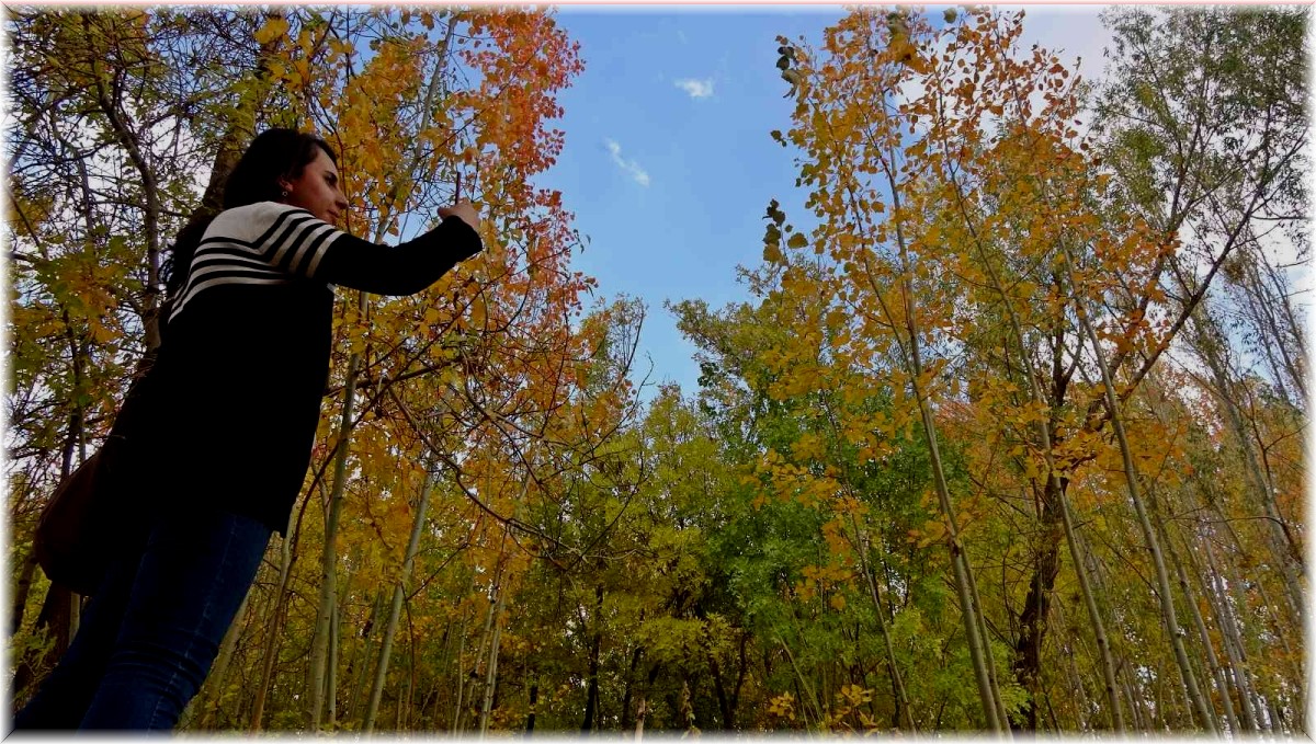 Yüksekova'da sonbahar güzelliği