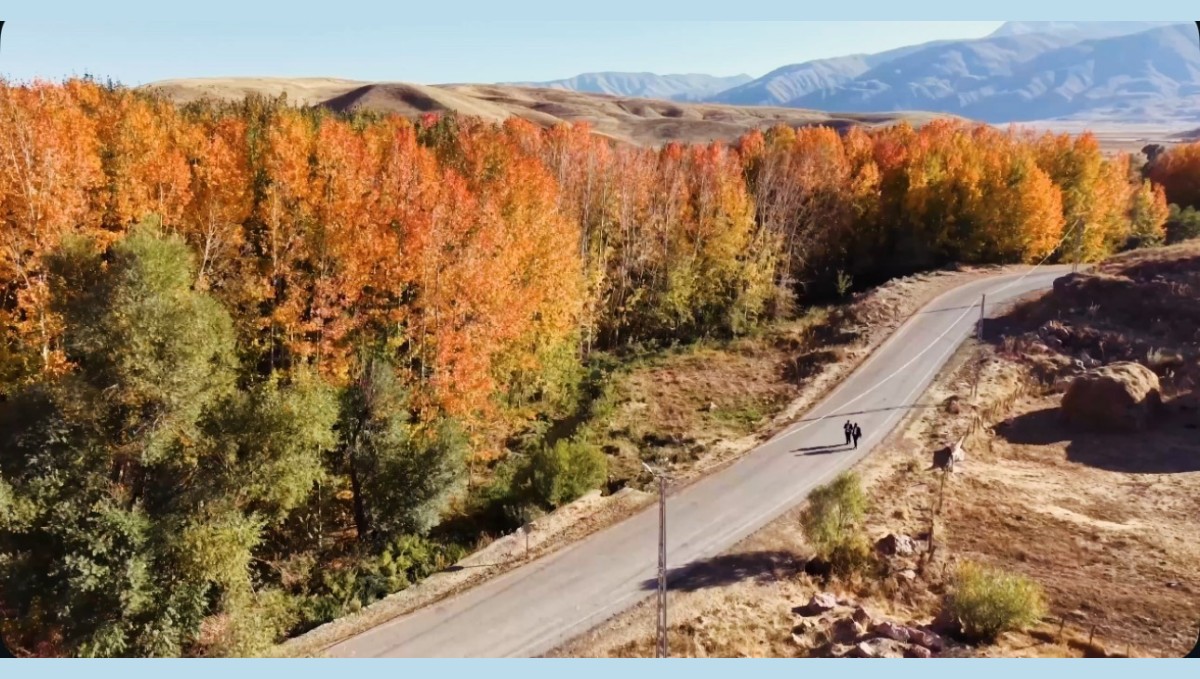 Yüksekova'da sonbahar ihtişamı: Kırmızı, sarı ve yeşil Cilo eteklerini cennete çevirdi