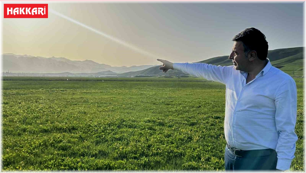 Yüksekova'da toz taşınımı etkili oldu