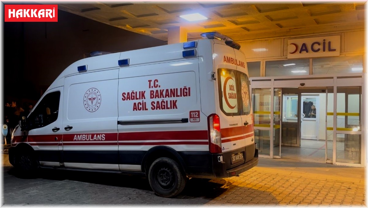 Yüksekova'da trafik kazası: 1 yaralı