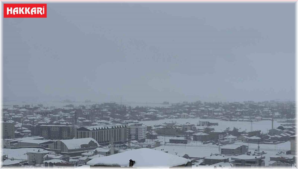 Yüksekova'da uçak seferlerine kar engeli