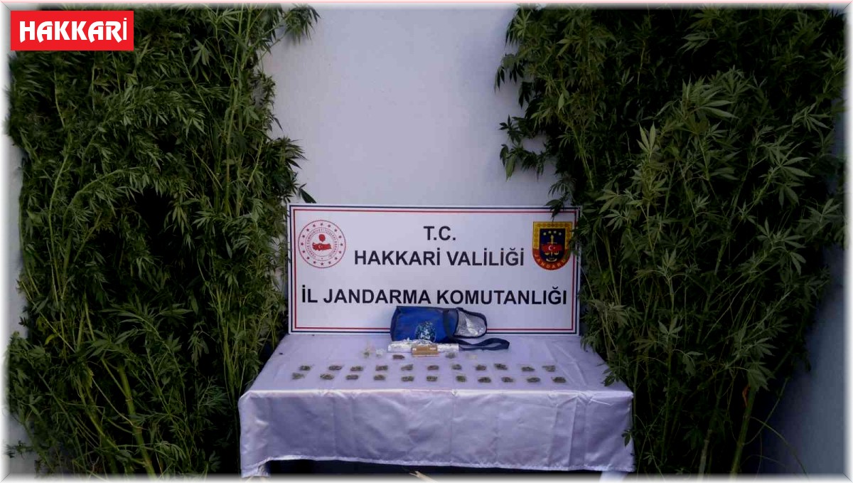 Yüksekova'da uyuşturucu operasyonu