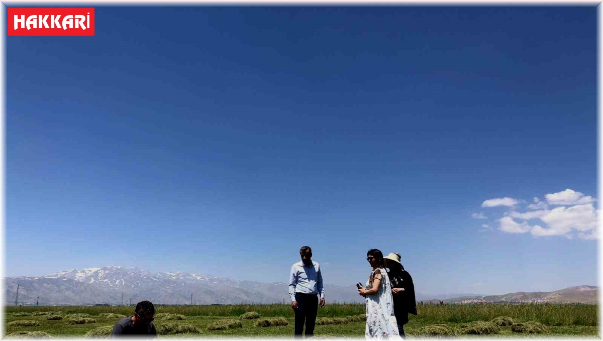 Yüksekova'da yağışlar çiftçilerin yüzünü güldürdü