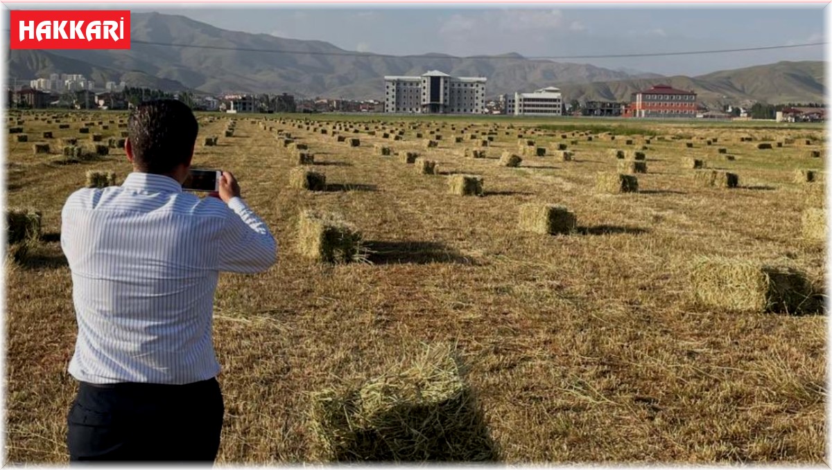 Yüksekova'da yağışlar tarımda verimliliği artırdı