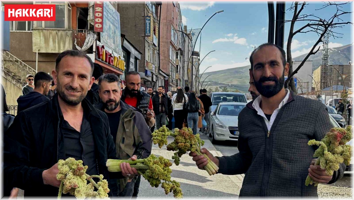 Yüksekova'da yayla muzunun destesi 100 TL'den satışa çıkarıldı
