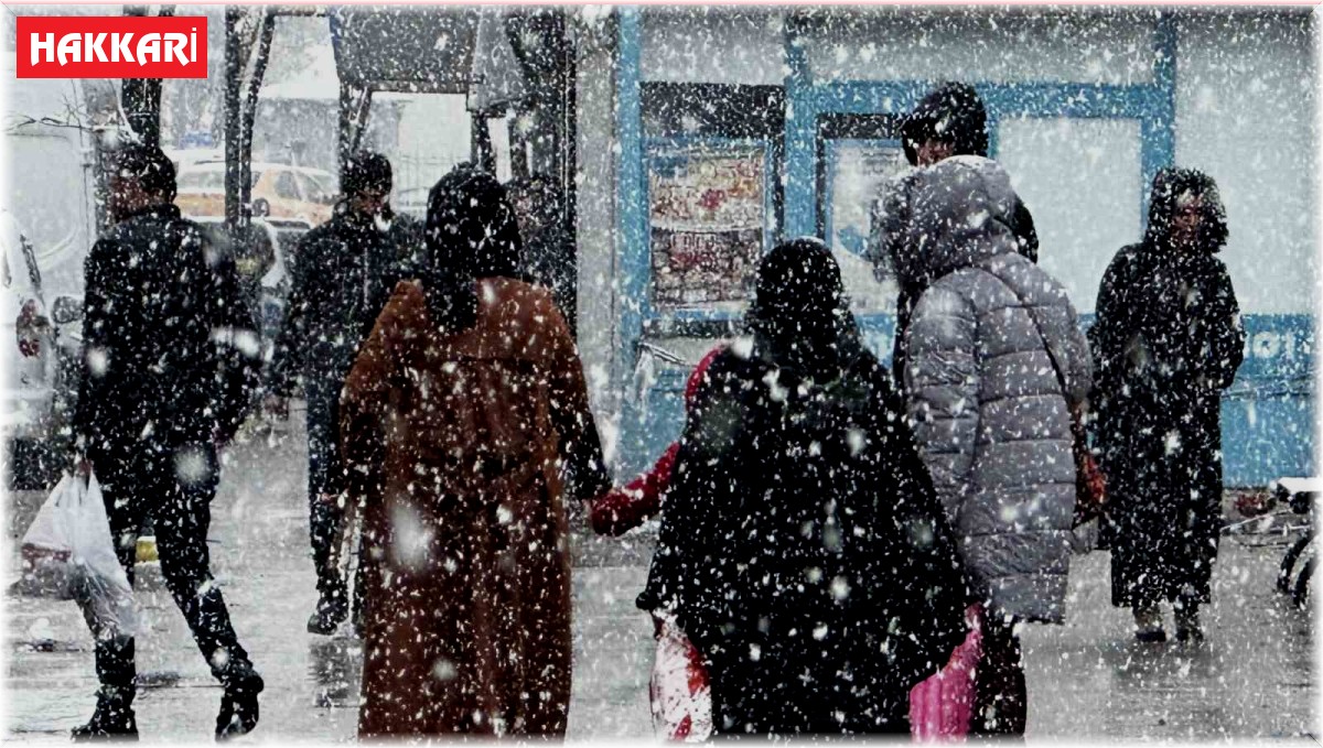 Yüksekova'da yoğun kar yağışı