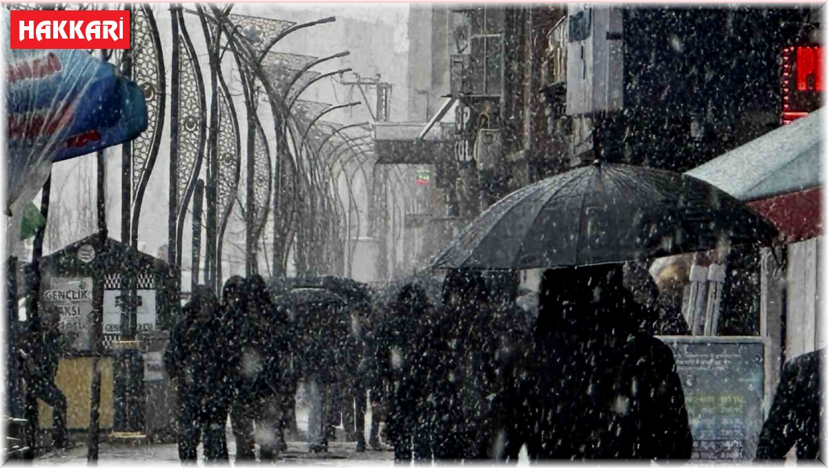 Yüksekova'da yoğun kar yağışı