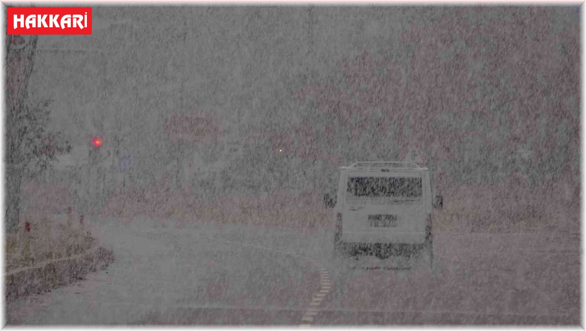 Yüksekova'da yoğun kar yağışı