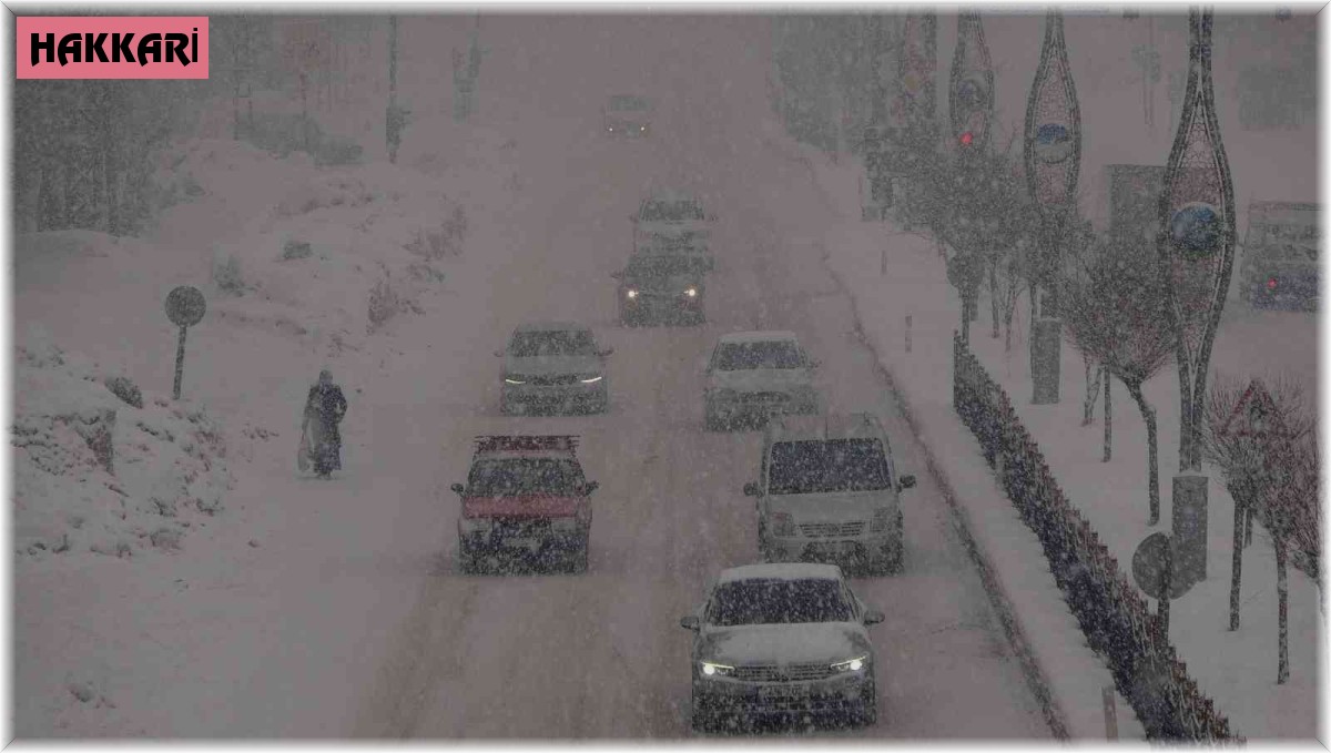 Yüksekova'da yoğun kar yağışı